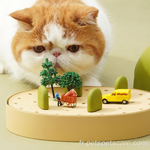 conception de jouet de chat drôle modifiable pour jouer au jouet